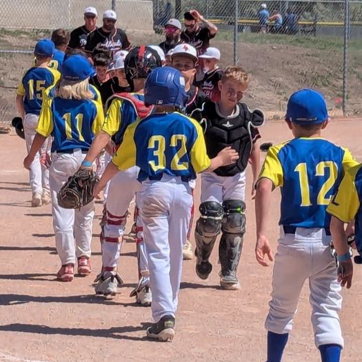 Players from two teams shaking hands after a game